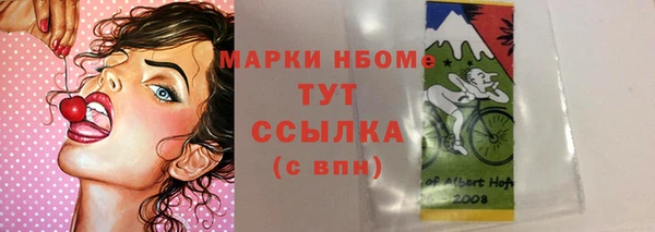 ешки Алексин
