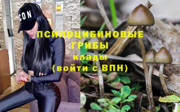 дживик Алексеевка
