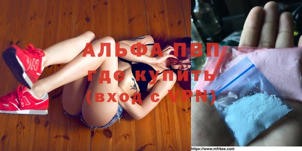ешки Алексин