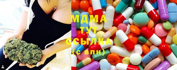 ешки Алексин